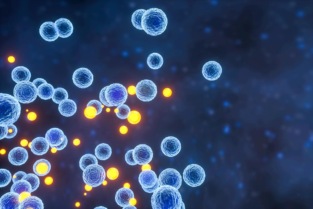 Autologous Conditioned Serum